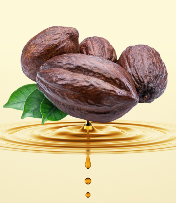 Whole cocoa bean against a pool of edible oil 