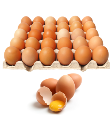 fresh eggs in a carton 