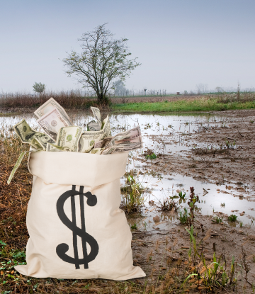 flooded field with a bag of money