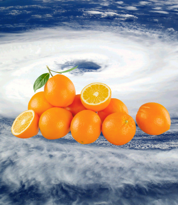 hurricane with citrus in the middle 