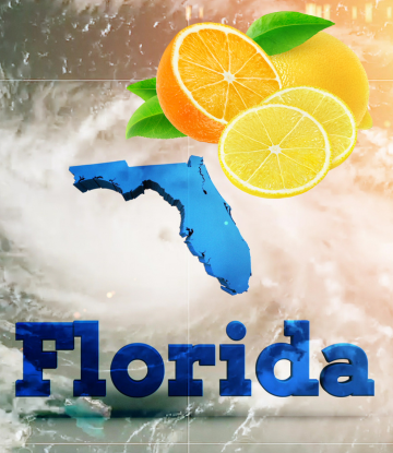 State of florida outline with fresh citrus 