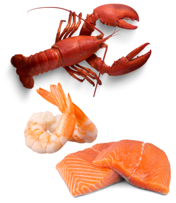 lobster, shimp and salmon 