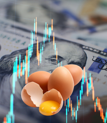 money, price ticker and brown eggs