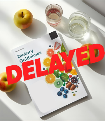 Red "Delayed" onn top of an illustrated government report 