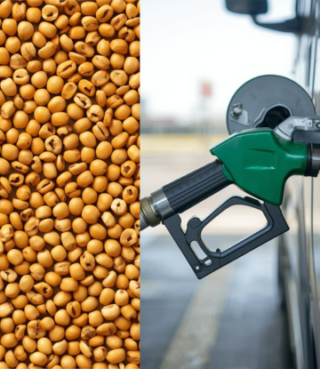 soybeans and a gas pump 