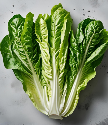 A head of lettuce 