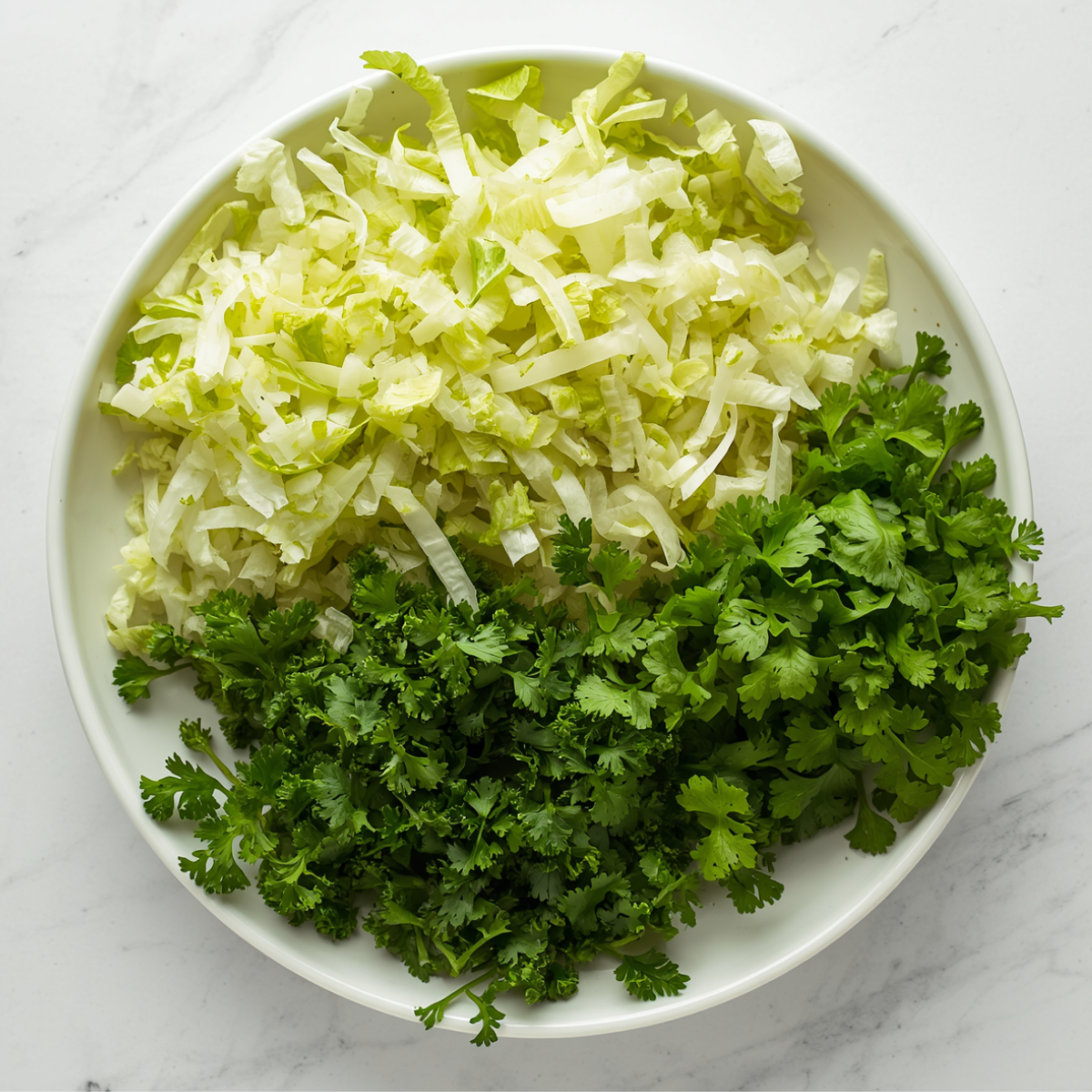 Fresh chopt lettuce and cilantro on a plate 