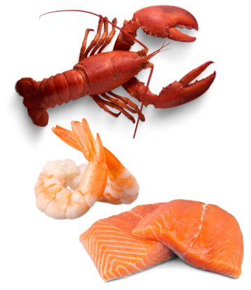 Assortment of seafood 